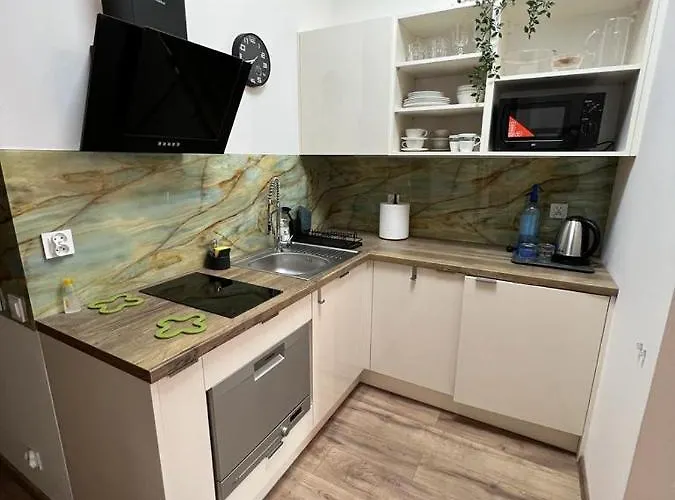 Vip Locum Hanza アパート *